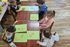 IMG-20250415-WA0010
