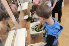 IMG-20250415-WA0011